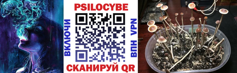 Псилоцибиновые грибы ЛСД Верещагино