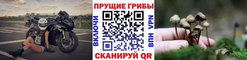 Псилоцибиновые грибы мухоморы  Верещагино 